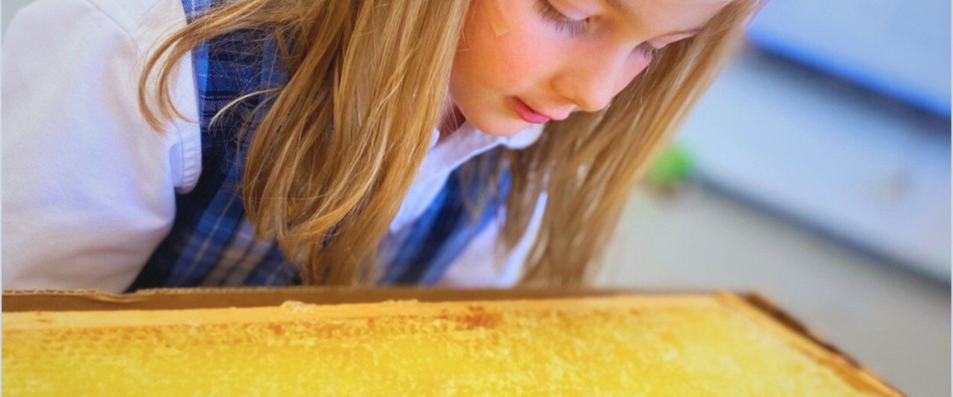 A student leans in close to look at a honeycomb frame.
