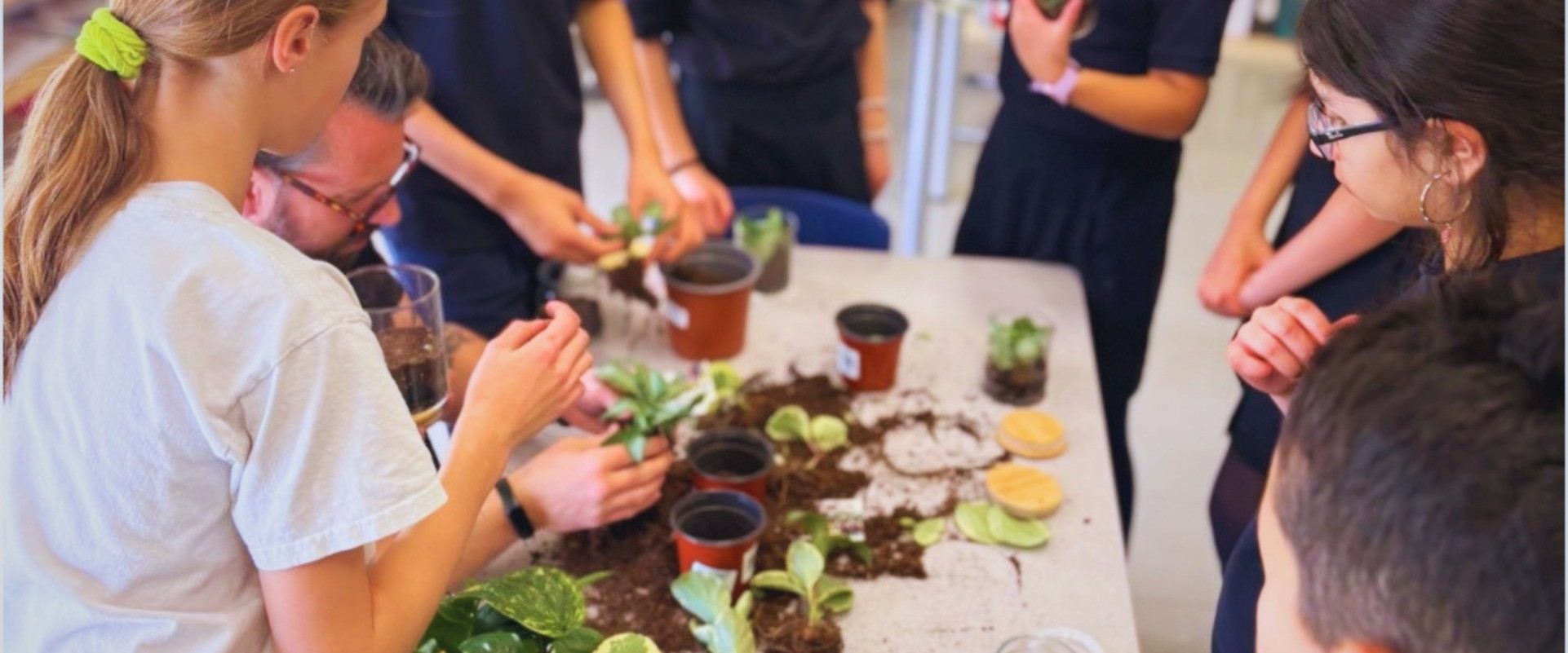 Students and a teacher repot plants together at a table covered in soil.
