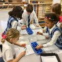 Girls and Science at River Valley School